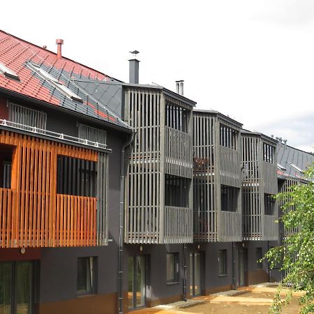 Apartman Honey Dolní Morava Exterior foto
